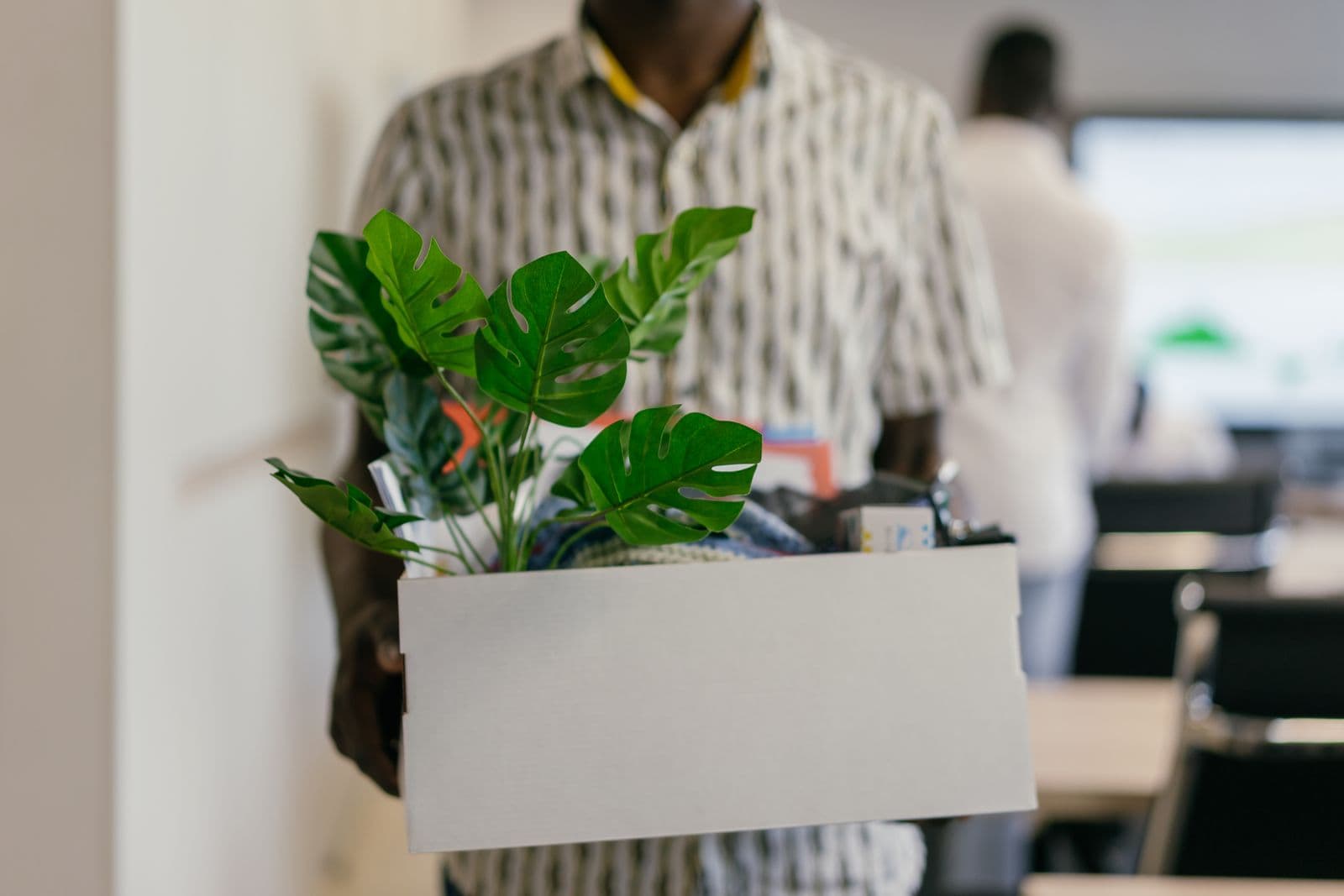 Carton de déménagement symbolisant la migration vers un nouveau logiciel de réservation